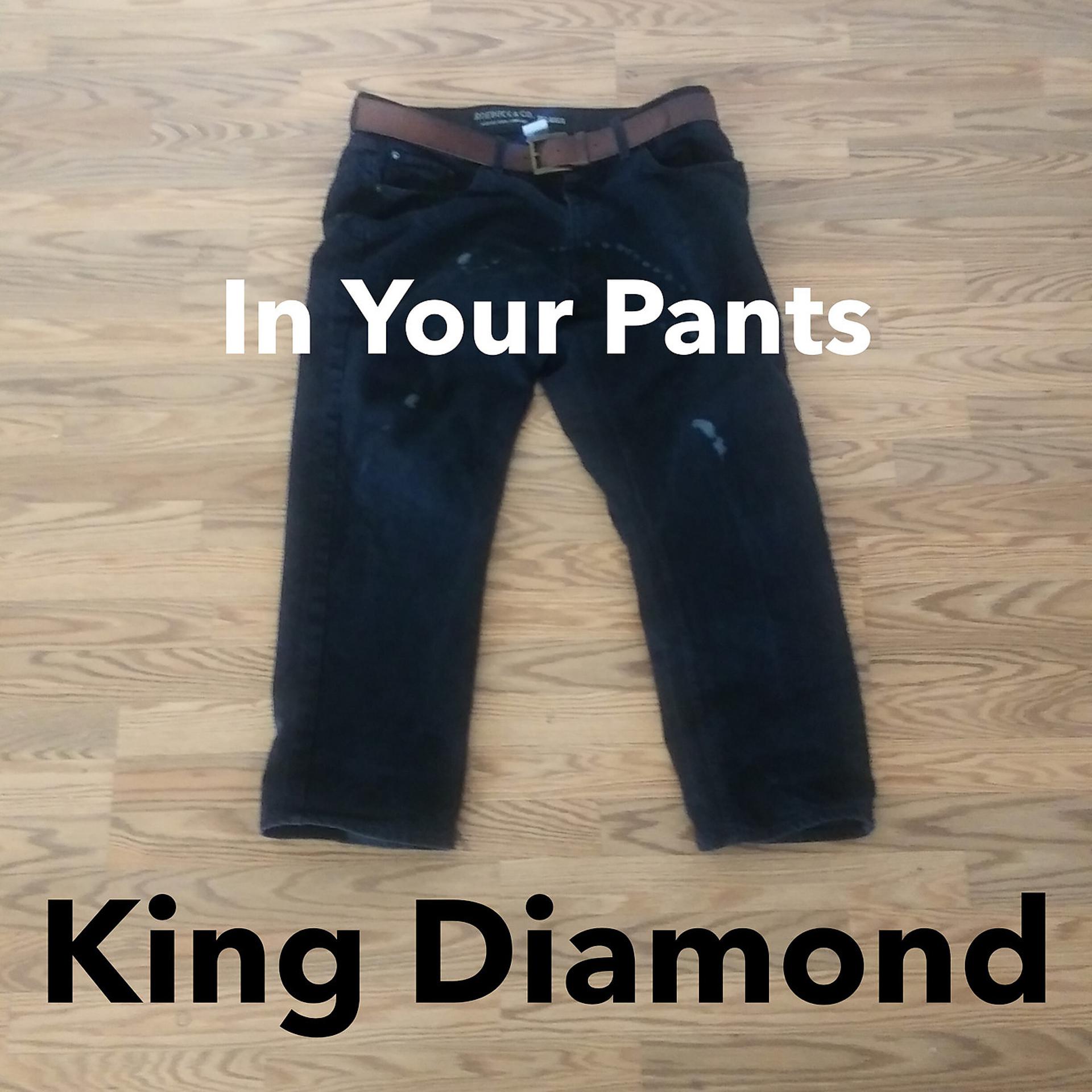 Постер альбома In Your Pants