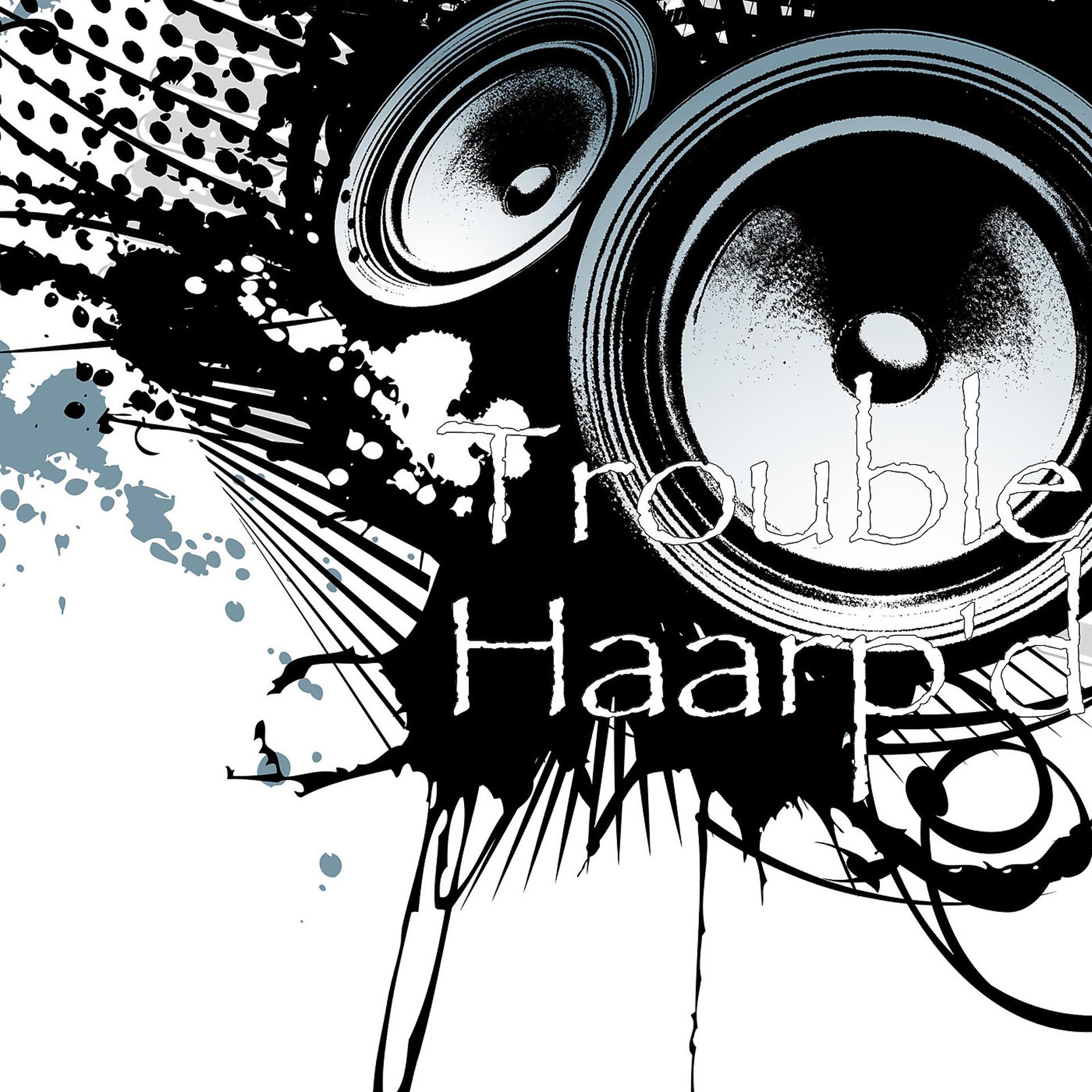 Постер альбома Haarp'd