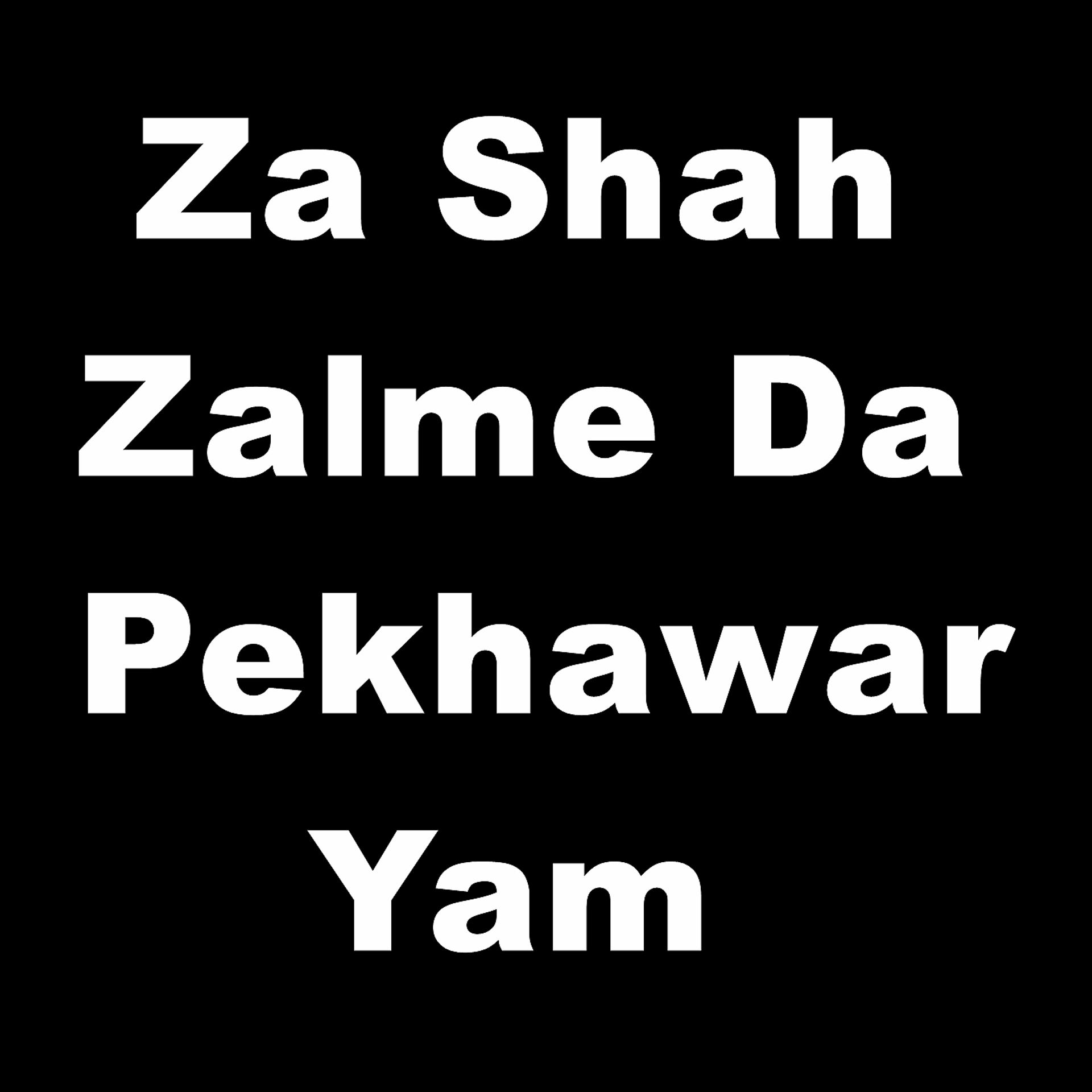 Постер альбома Za Shah Zalme da Pekhawar Yam