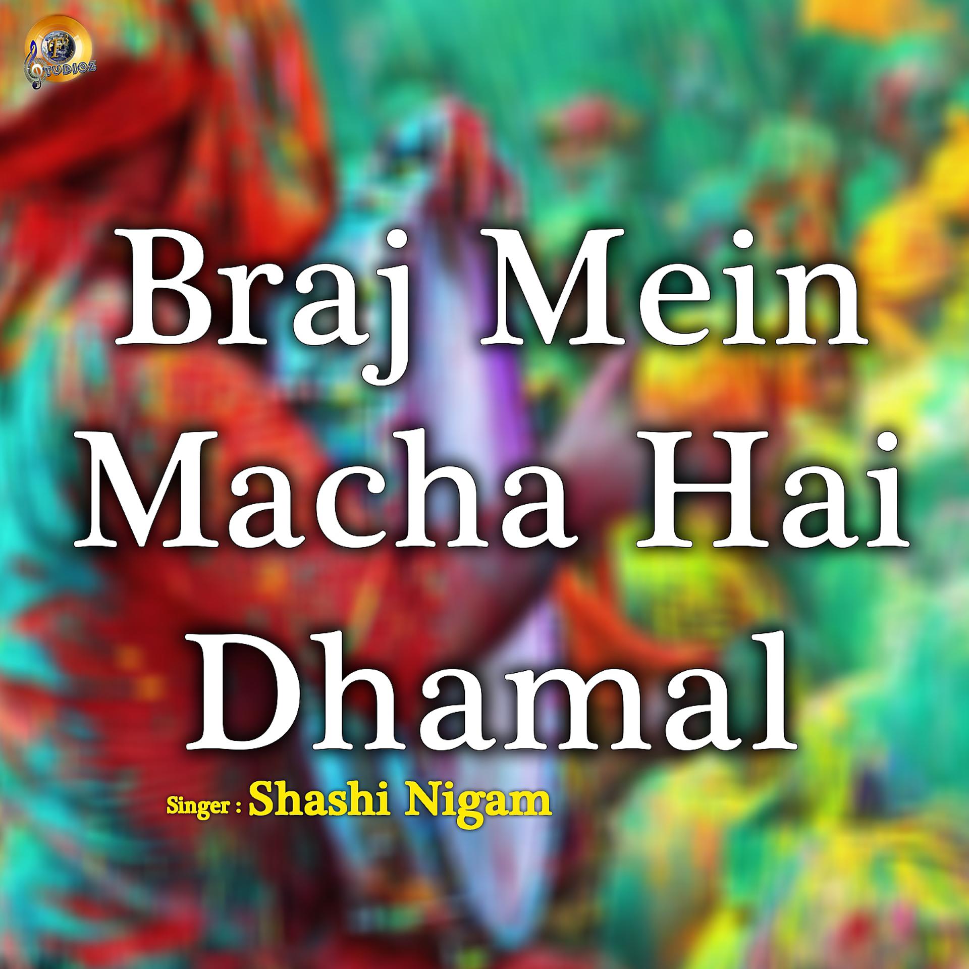 Постер альбома Braj Mein Macha Hai Dhamal