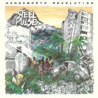 Постер альбома Handsworth Revolution