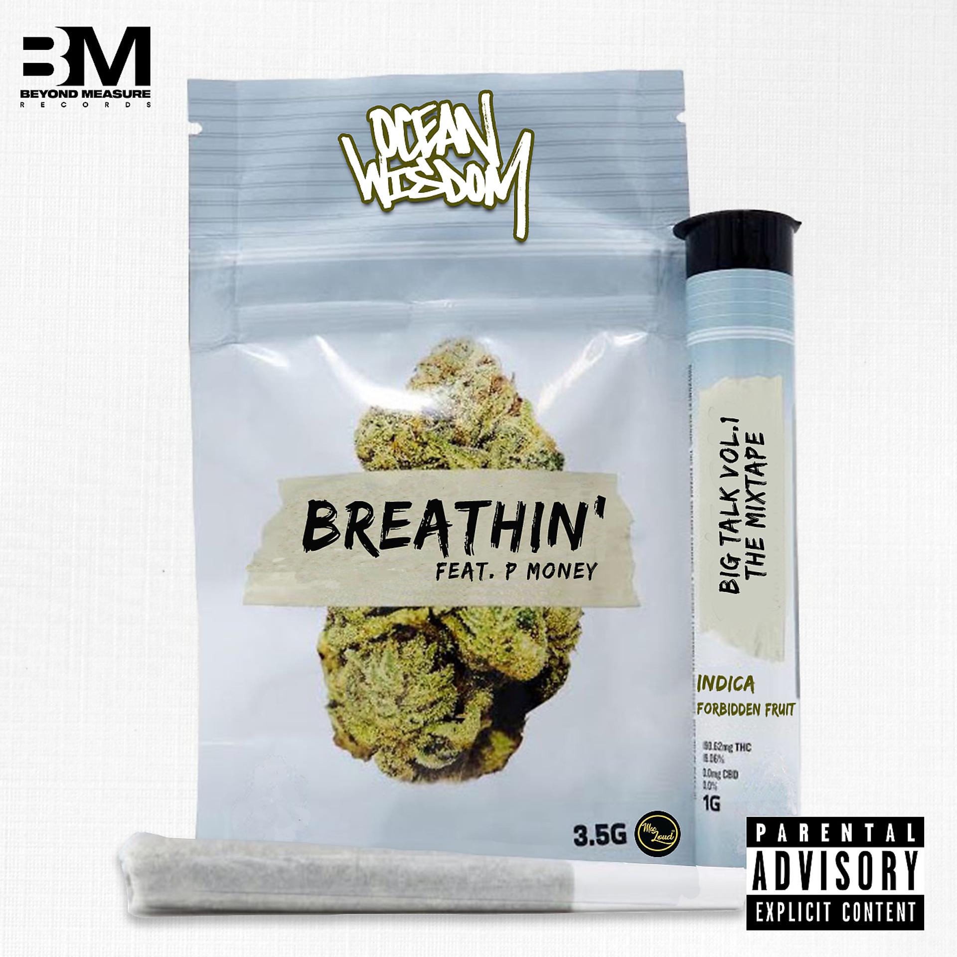 Постер альбома BREATHIN' (feat. P Money)