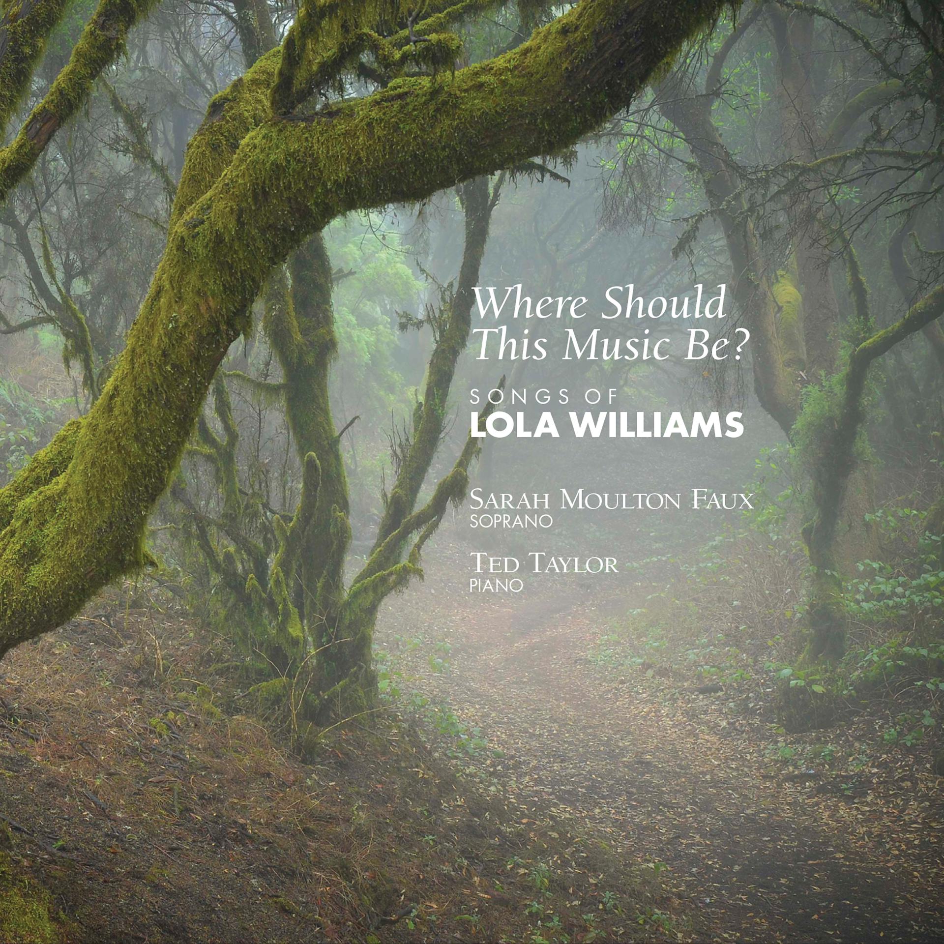 Постер альбома Where Should This Music Be? - Songs of Lola Williams