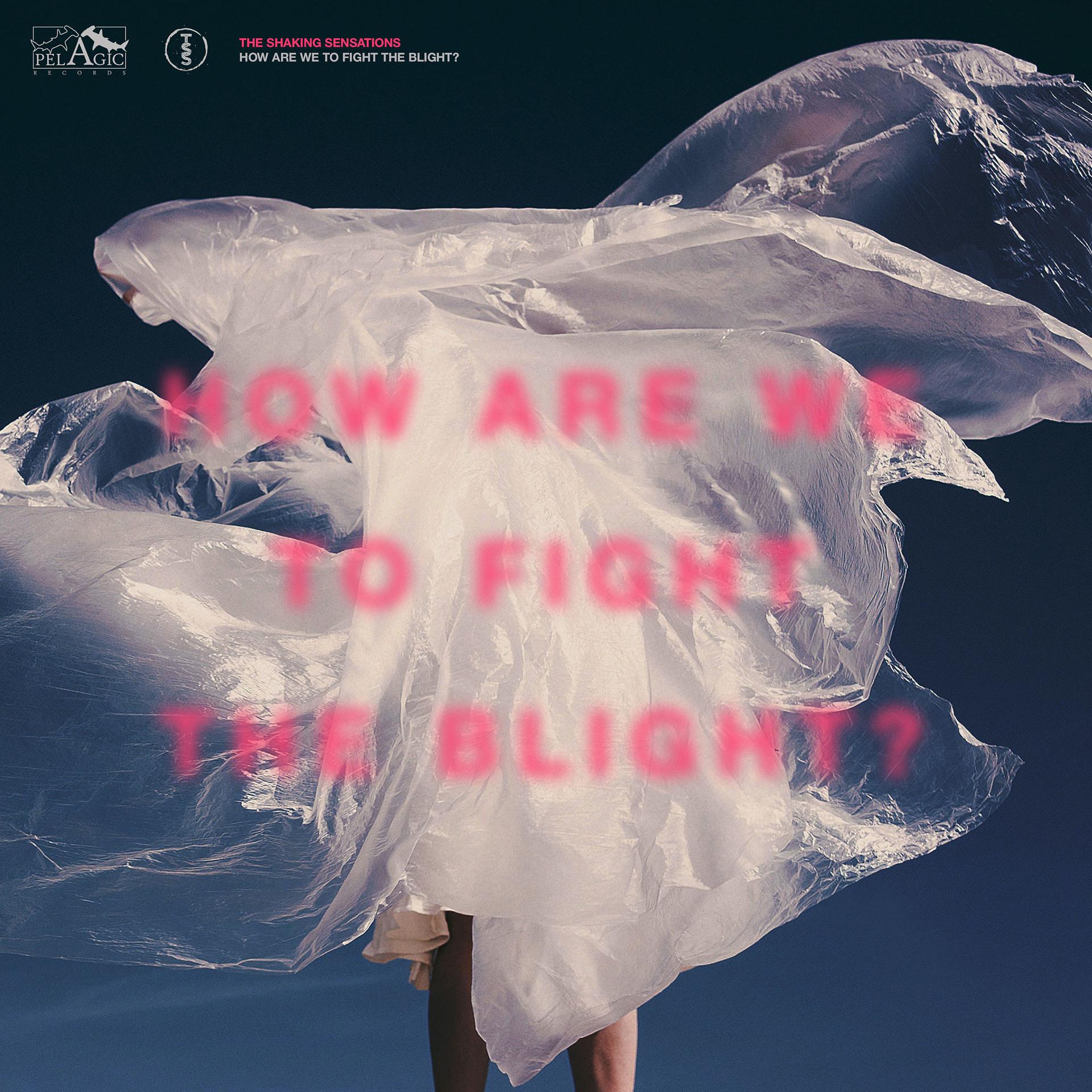 Постер альбома How Are We to Fight the Blight?