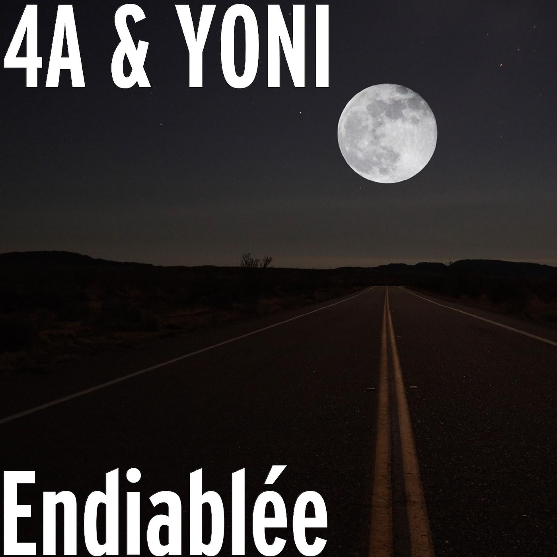 Постер альбома Endiablée