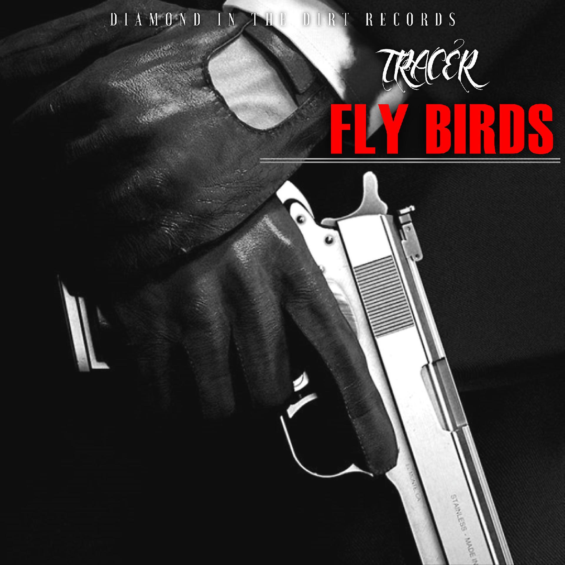 Постер альбома Fly Birds