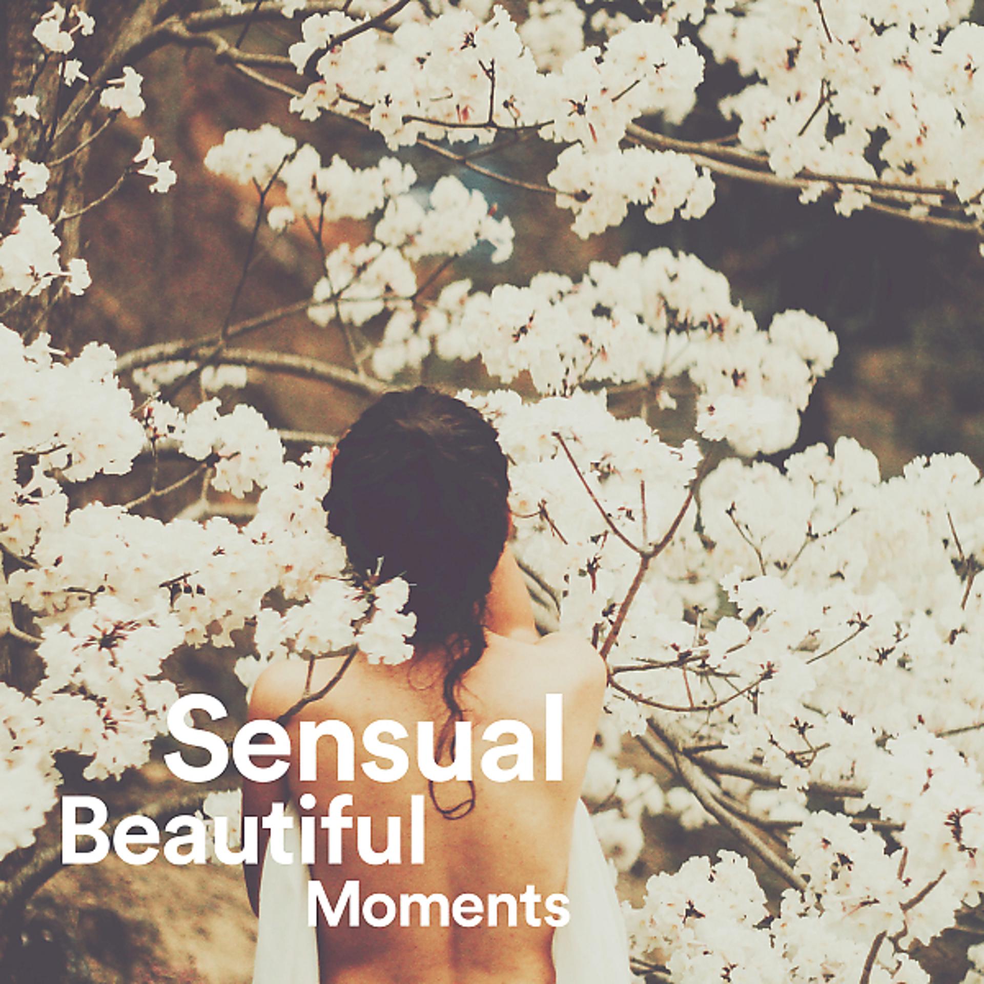 Постер альбома Sensual Beautiful Moments