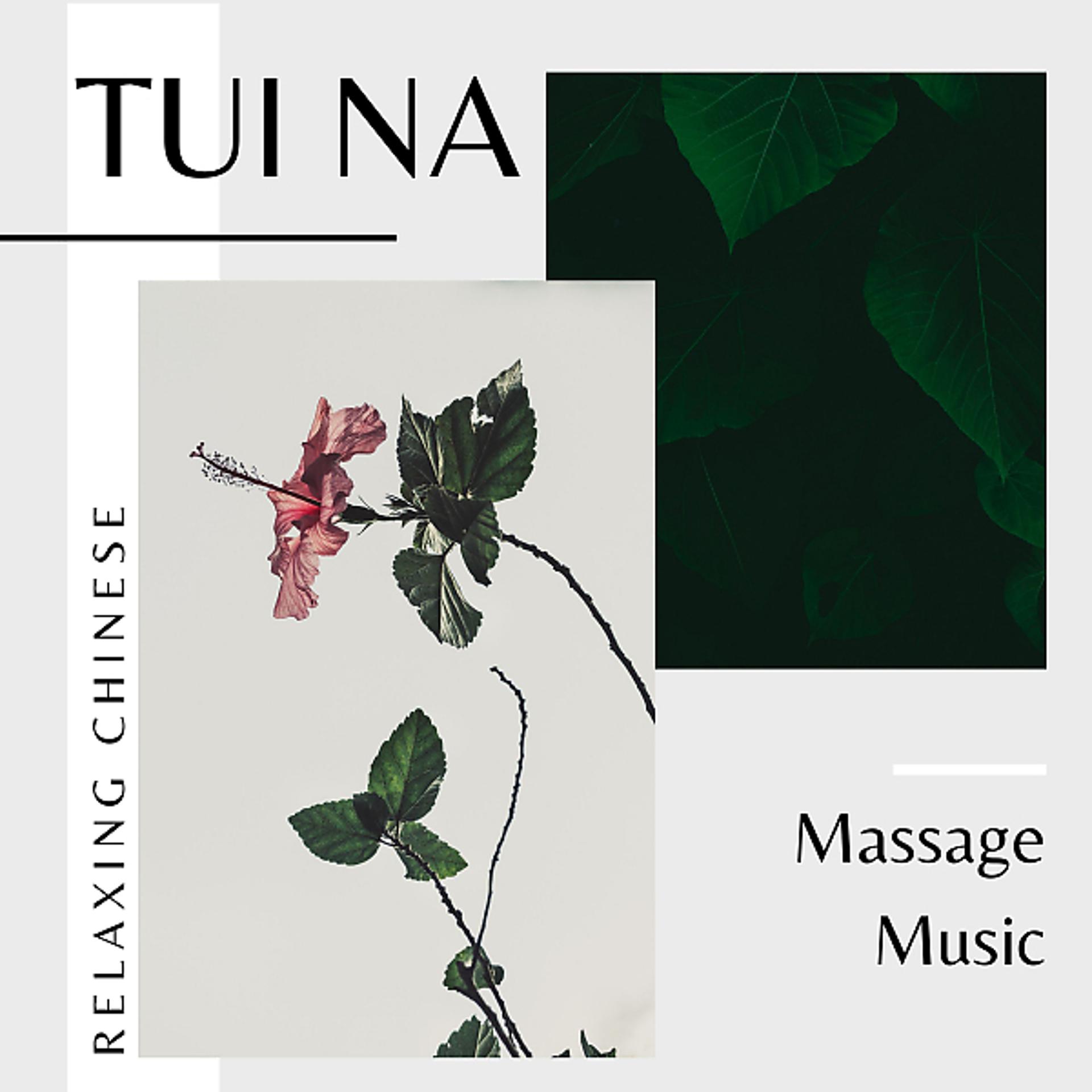 Постер альбома Tui Na - Relaxing Chinese Massage Music