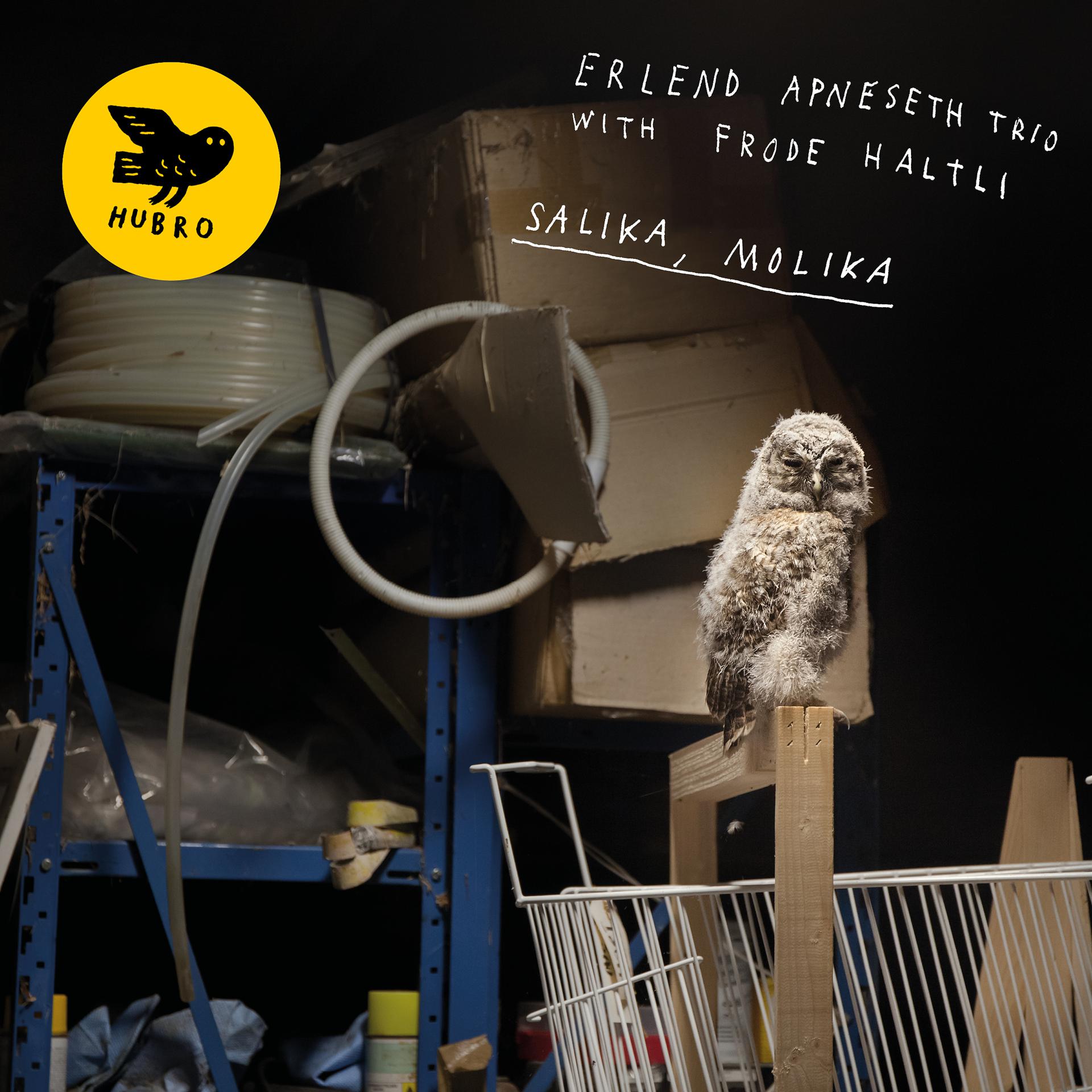 Постер альбома Salika, Molika