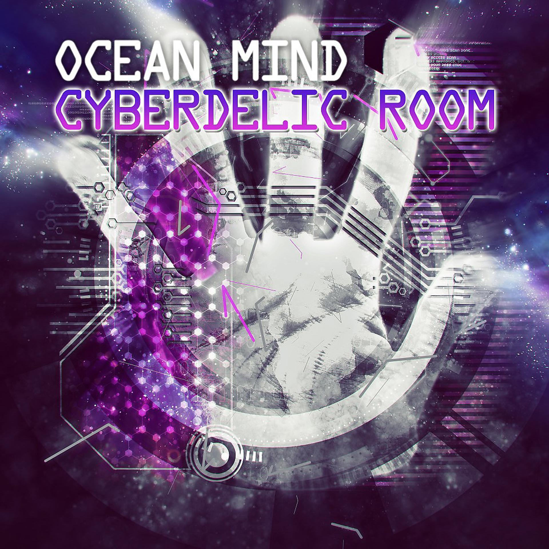 Постер альбома Cyberdelic Room