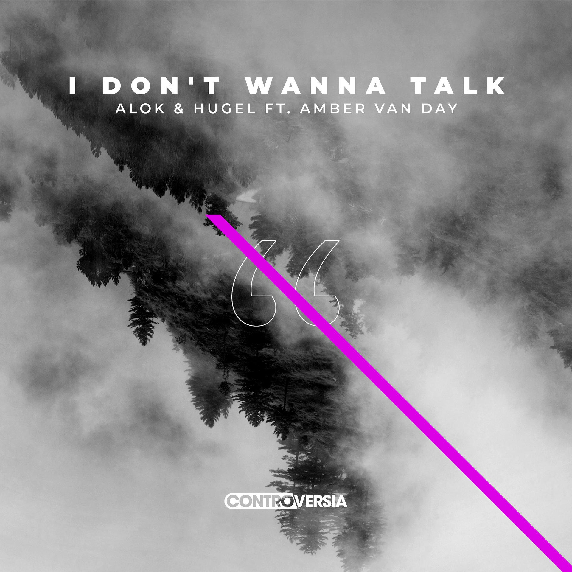 Постер альбома I Don't Wanna Talk (feat. Amber Van Day)