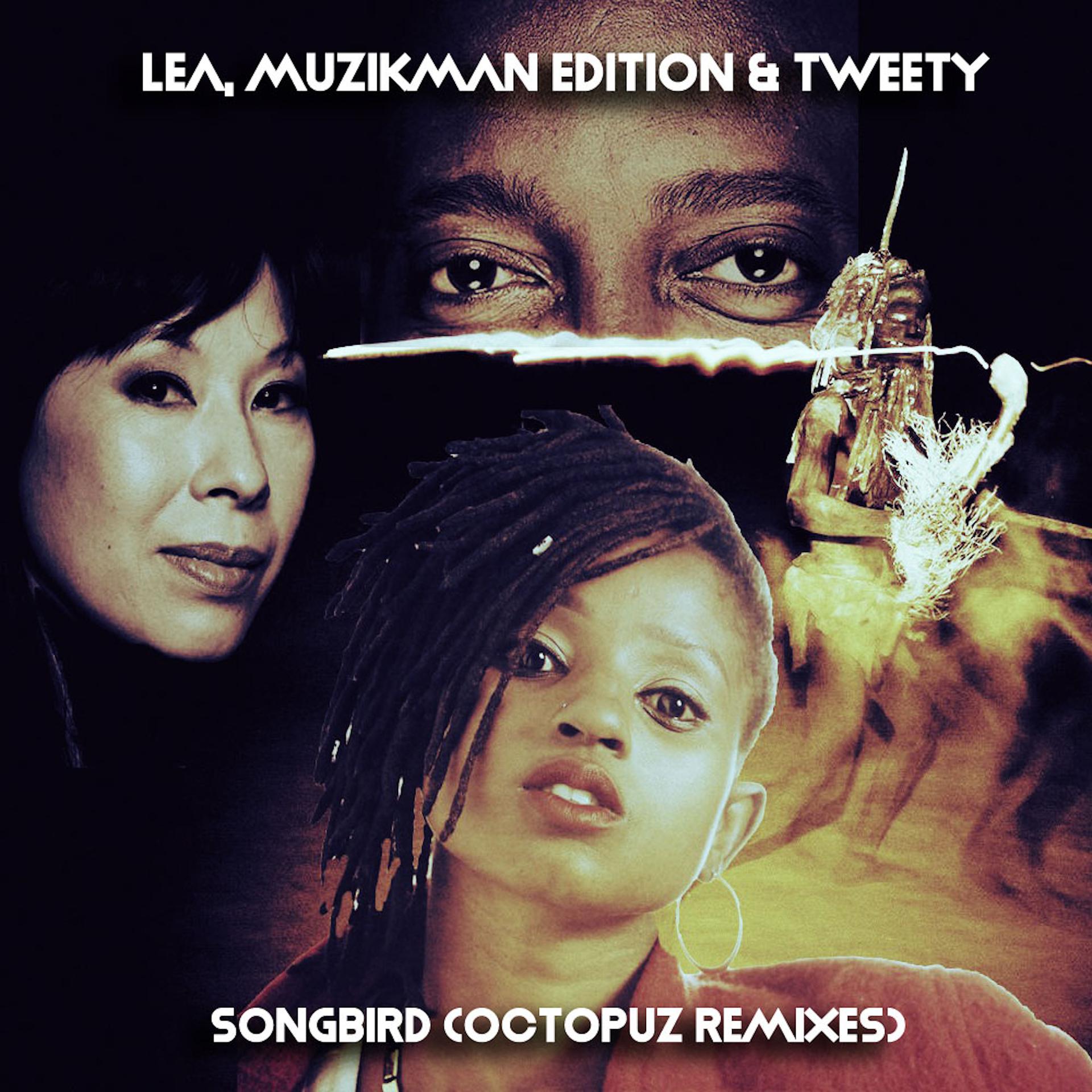 Постер альбома Songbird (Dj Octopuz Remixes)