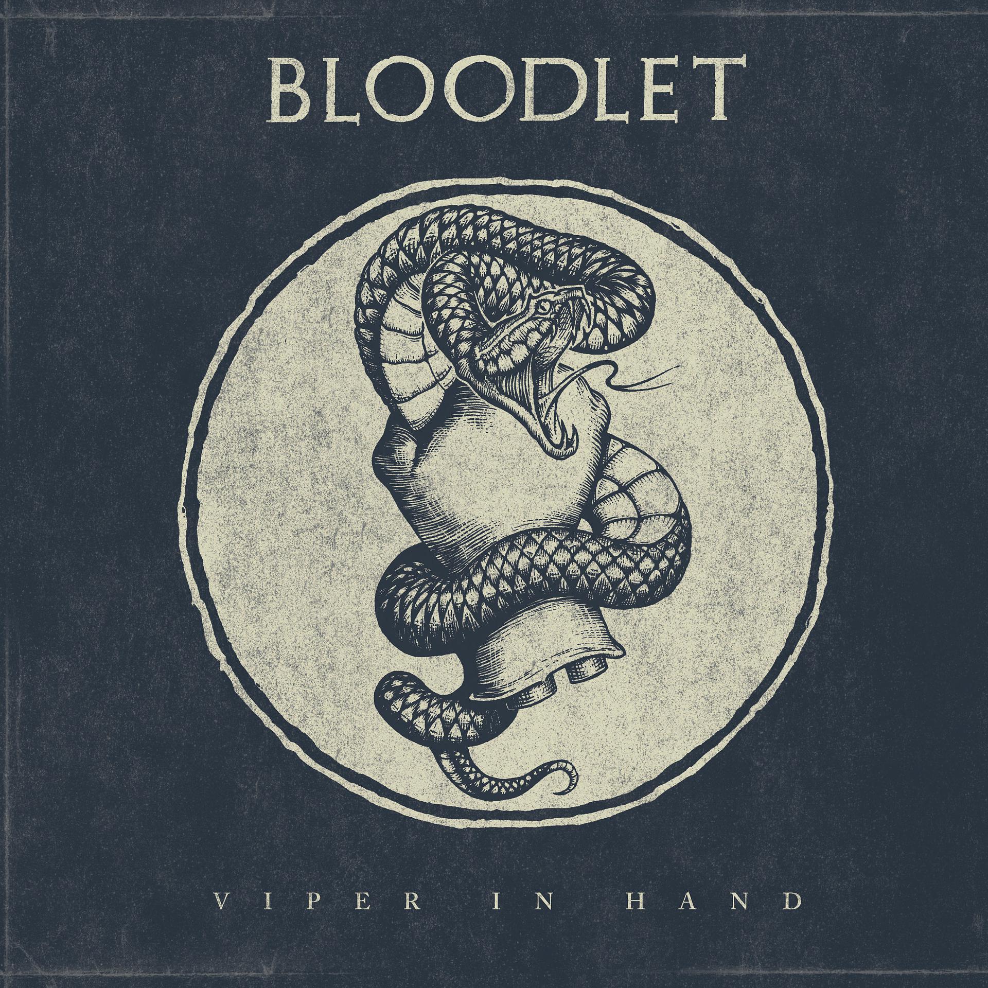Постер альбома Viper in Hand