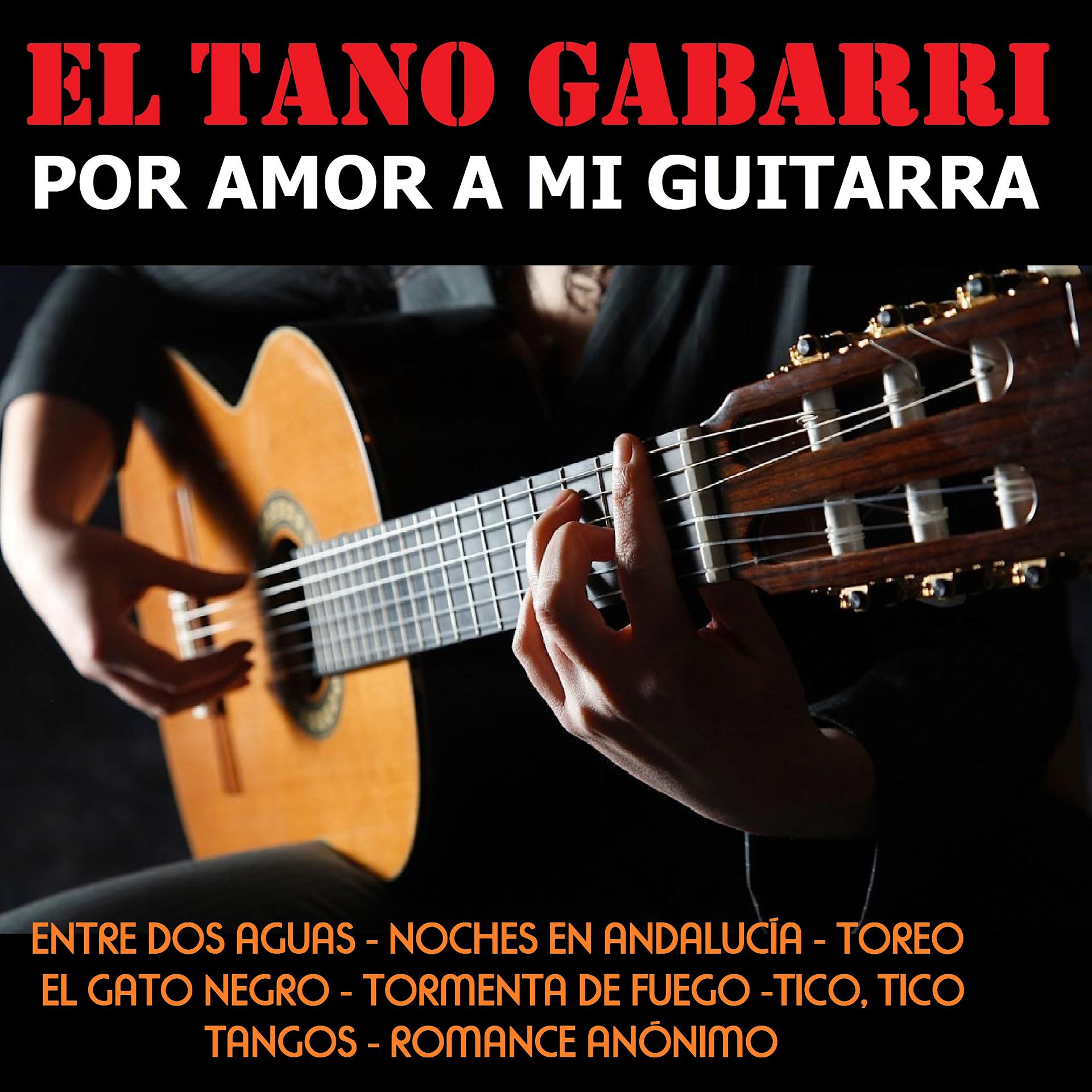 Постер альбома Por Amor a Mi Guitarra