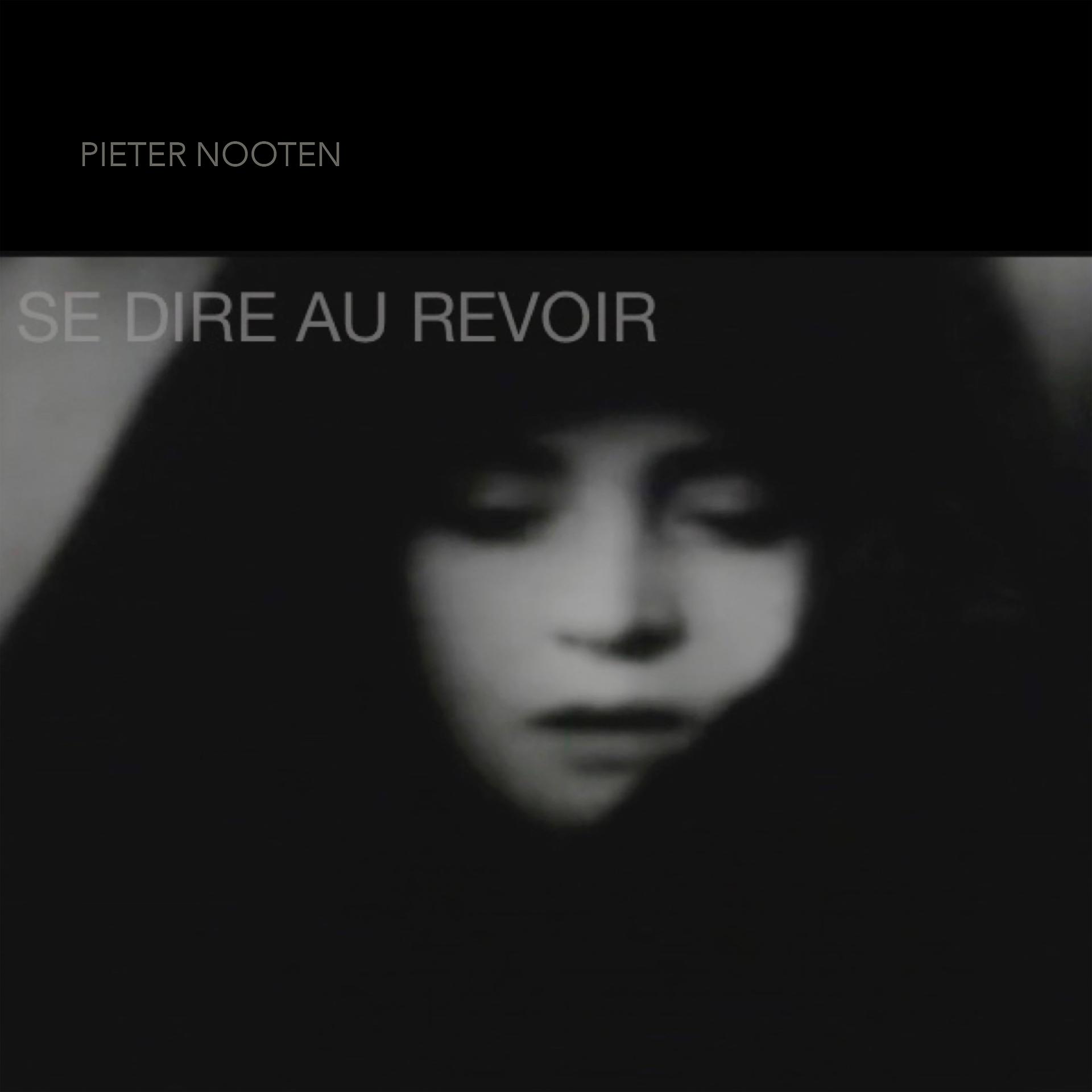 Постер альбома Se Dire Au Revoir
