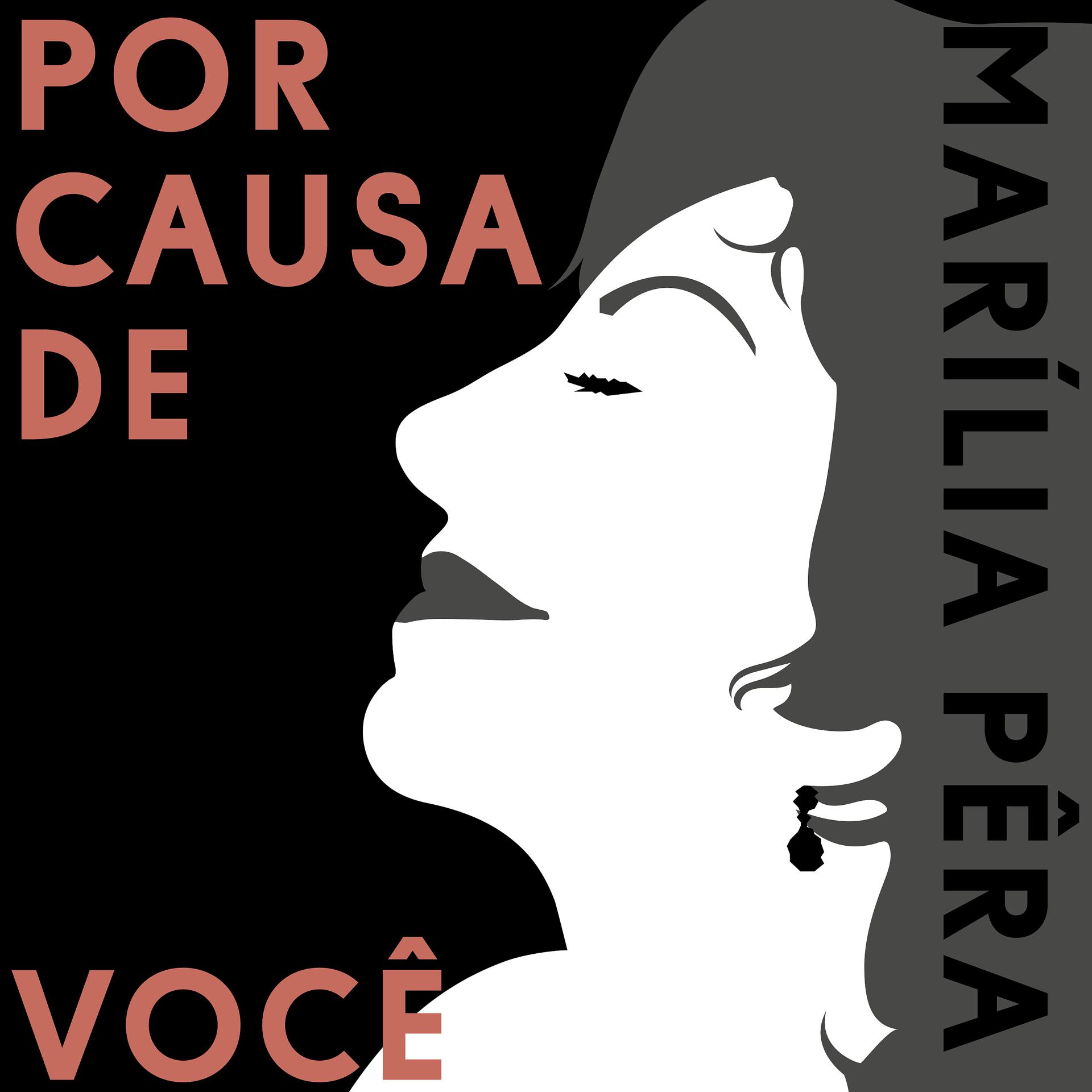 Постер альбома Por Causa de Você
