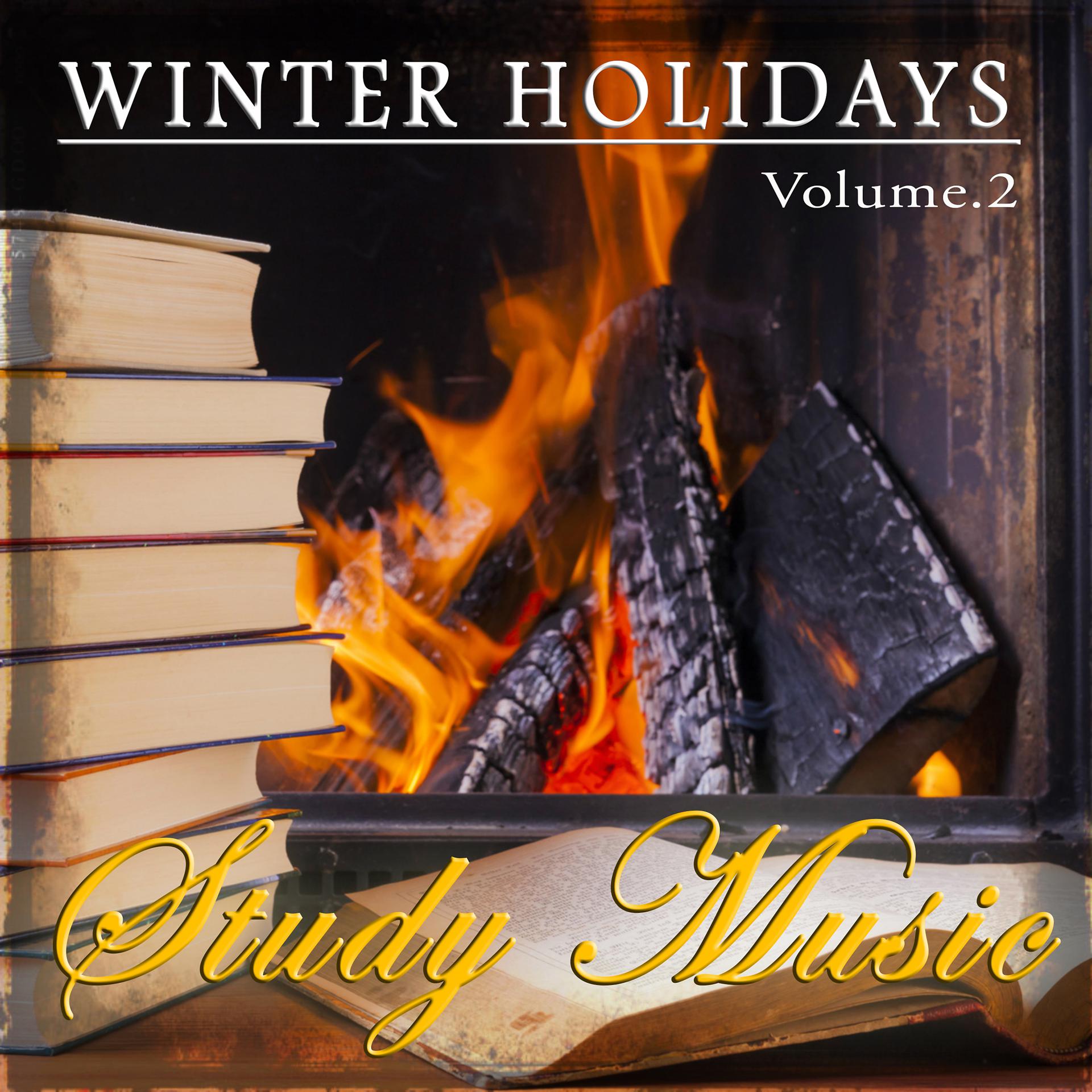 Постер альбома Winter Holidays - Study Music