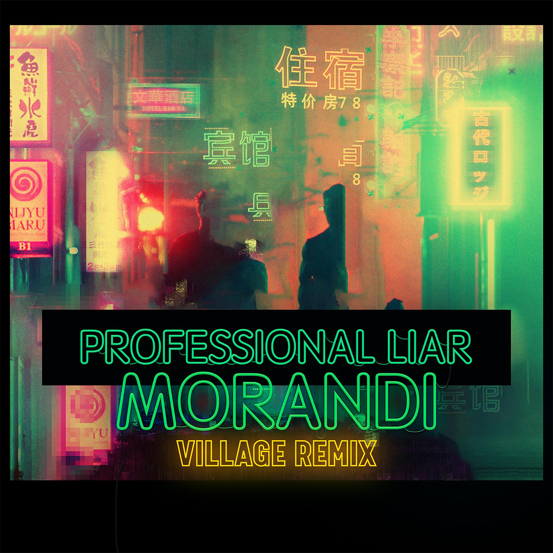 Постер альбома Professional Liar