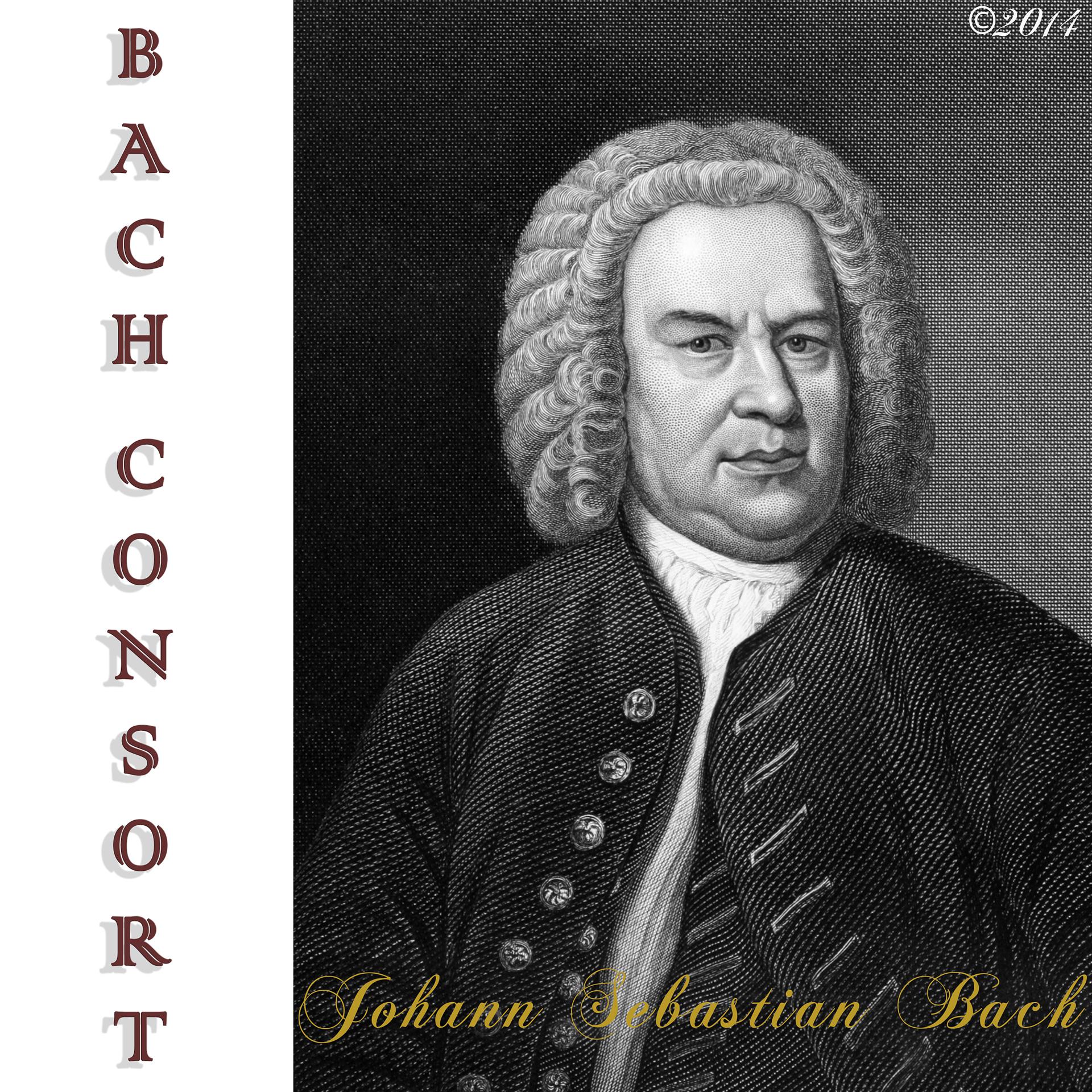Постер альбома Piano - Bach Consort