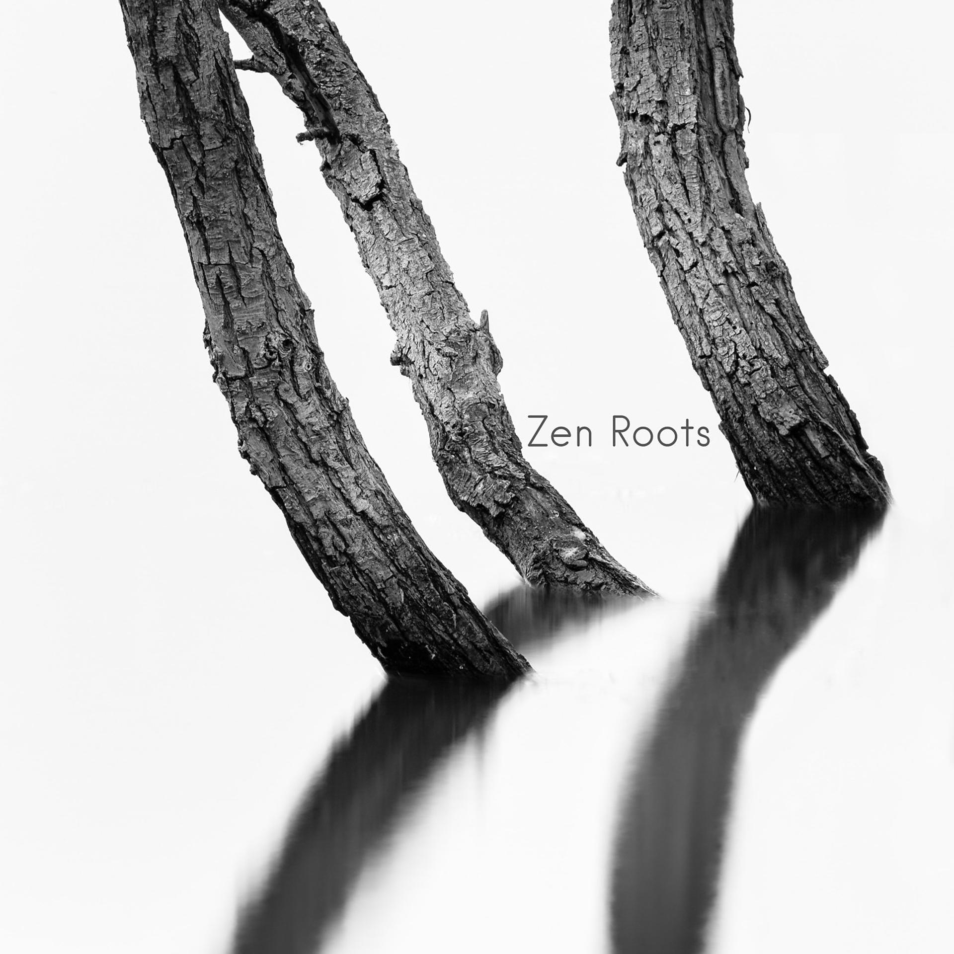 Постер альбома Zen Roots