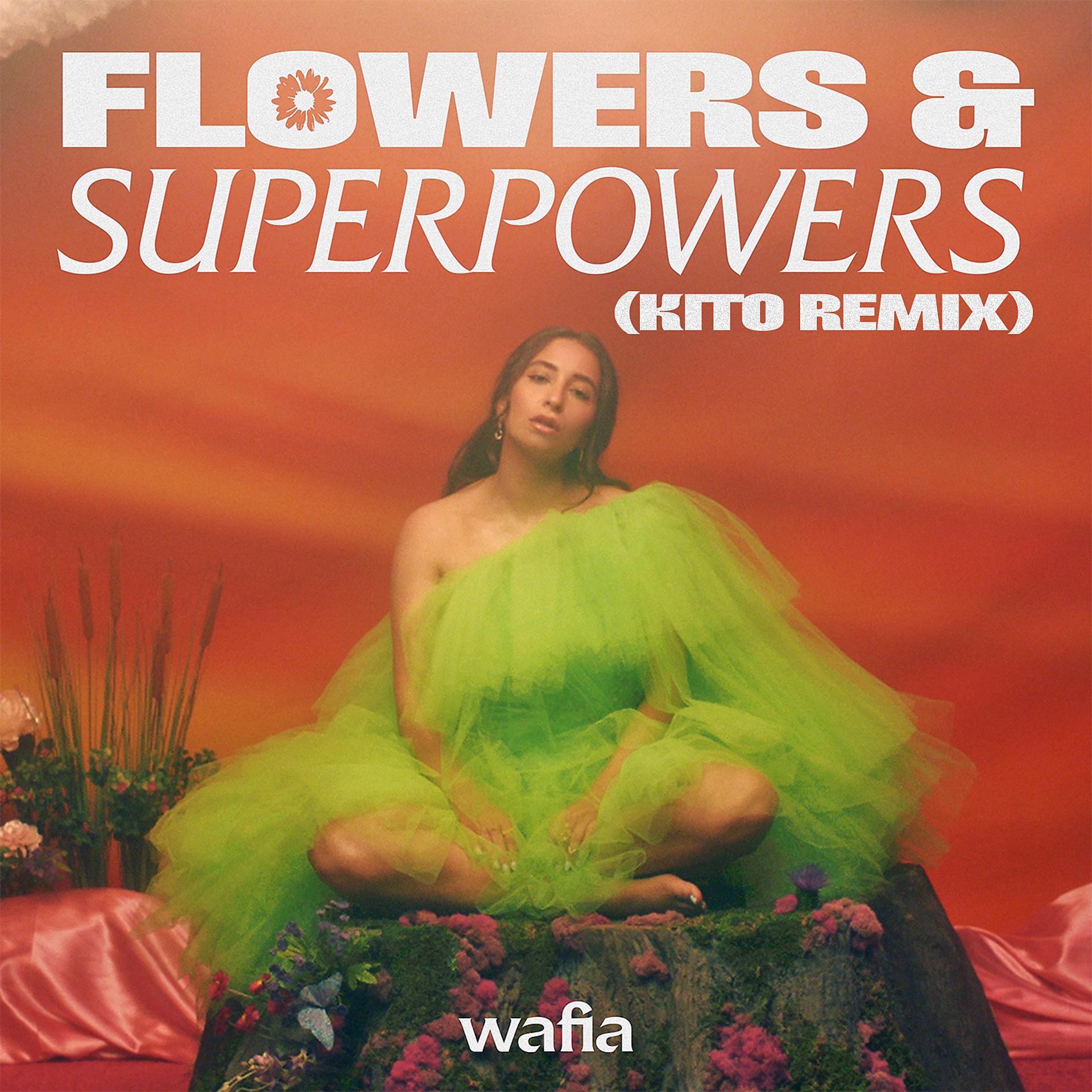 Постер альбома Flowers & Superpowers (Kito Remix)