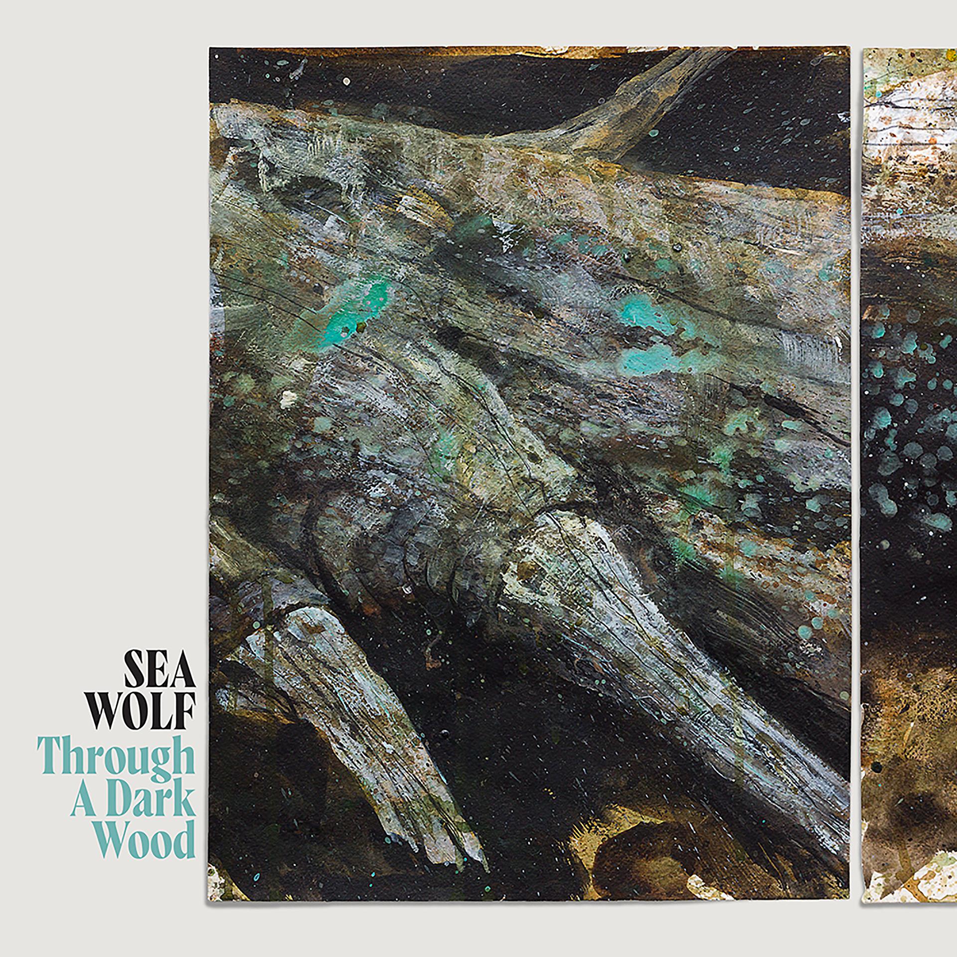 Постер альбома Through A Dark Wood