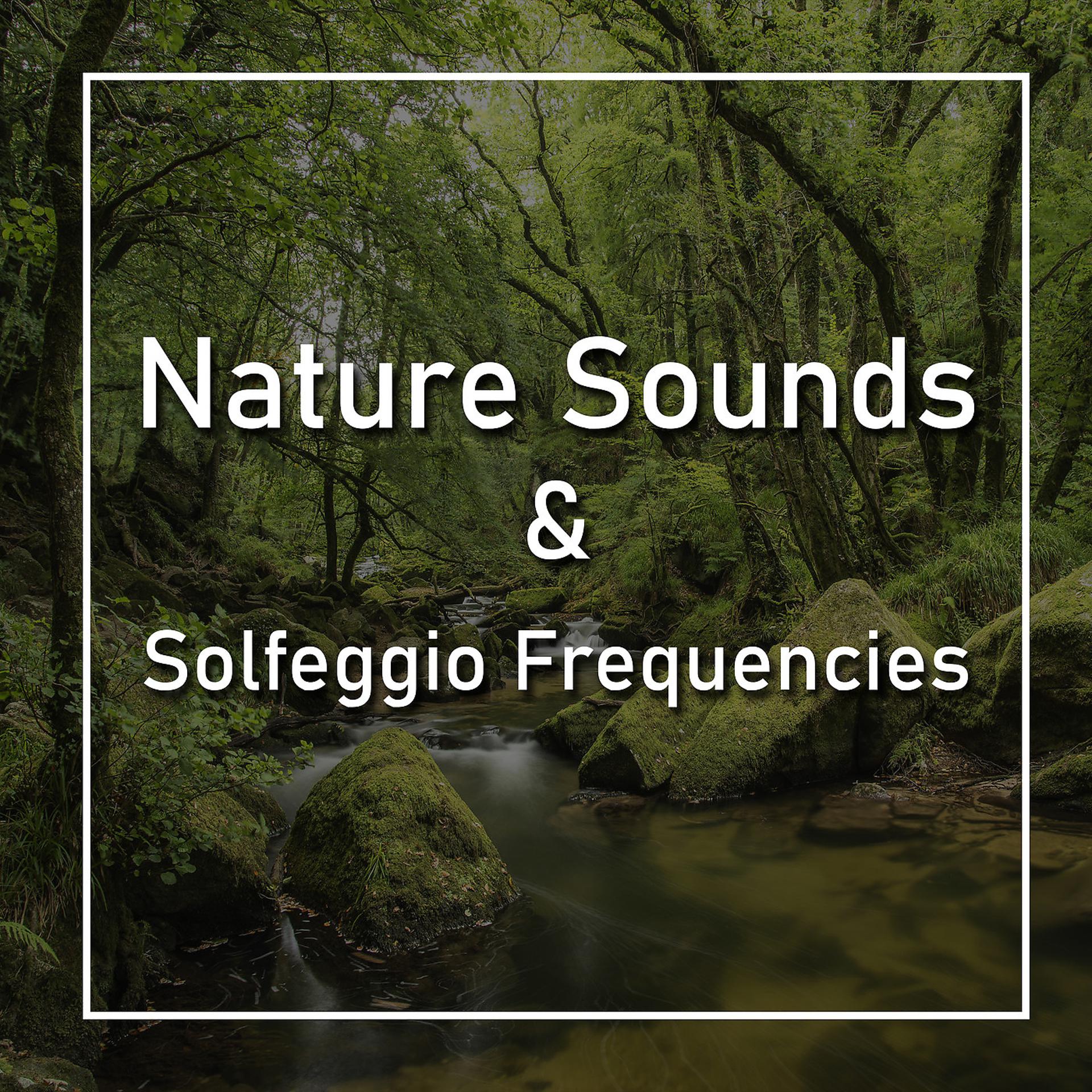 Постер альбома Nature Sounds and Solfeggio Frequencies