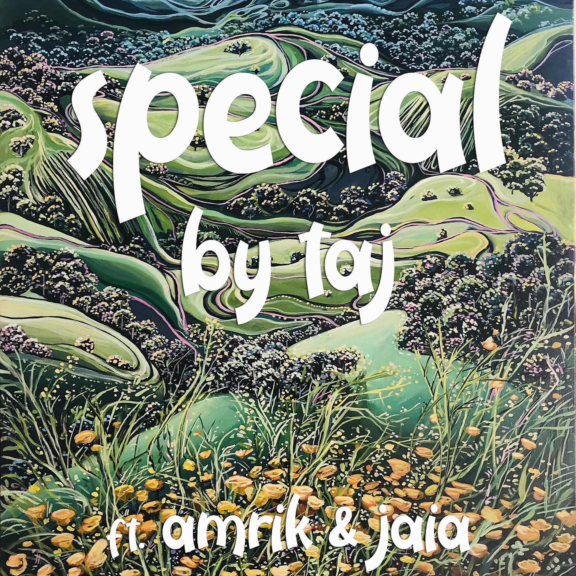 Постер альбома Special
