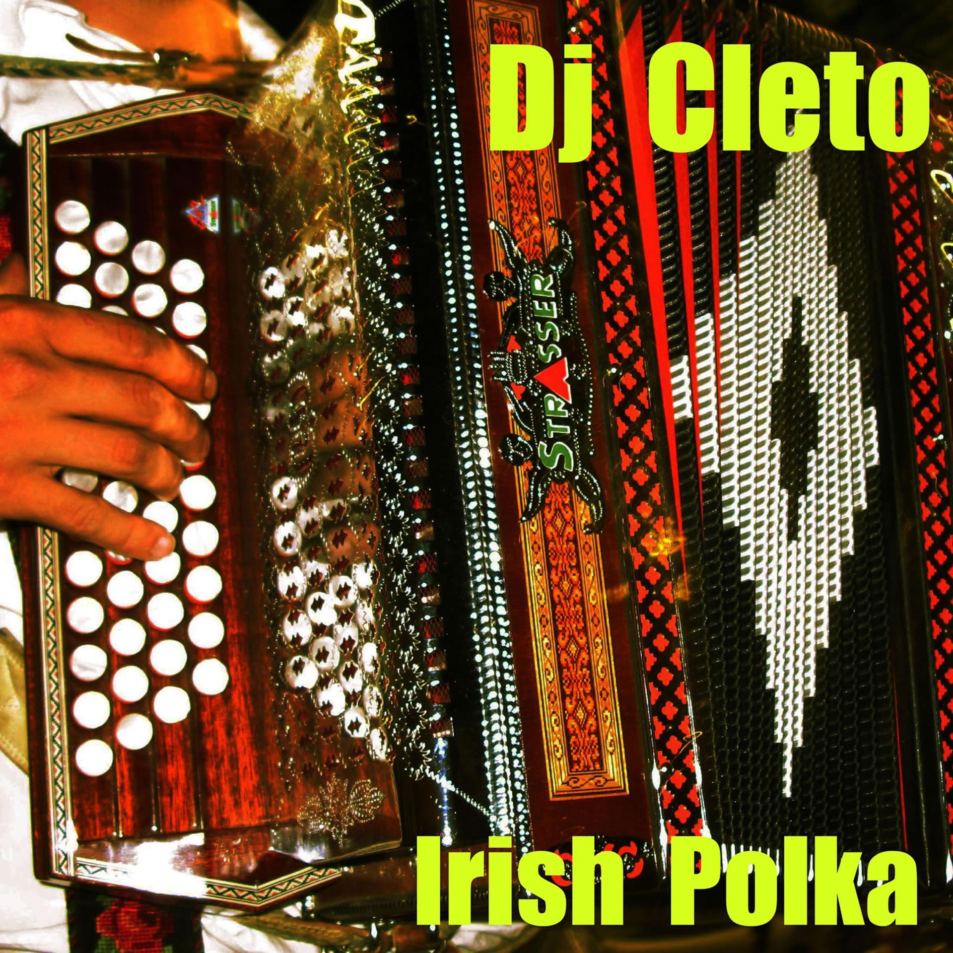Постер альбома Irish Polka